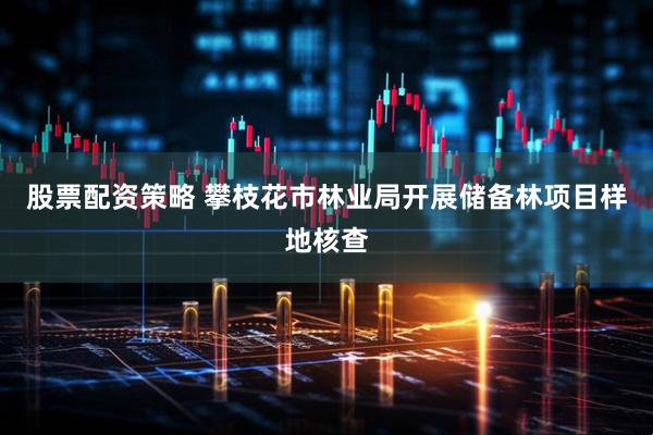 股票配资策略 攀枝花市林业局开展储备林项目样地核查