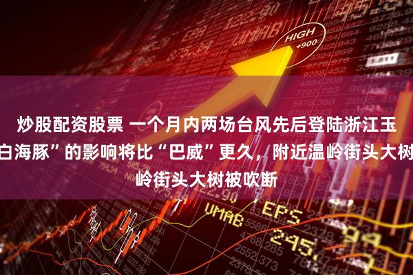 炒股配资股票 一个月内两场台风先后登陆浙江玉环，“白海豚”的影响将比“巴威”更久，附近温岭街头大树被吹断
